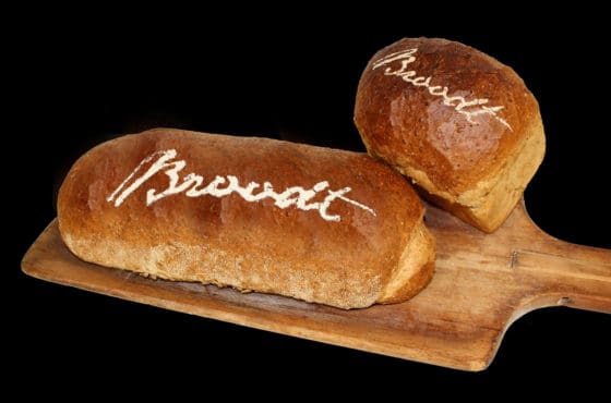 Broodt